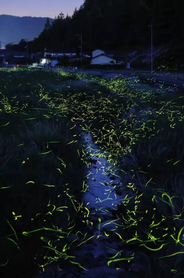 逃出安逸小乡村