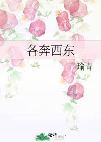 细胞分裂4
