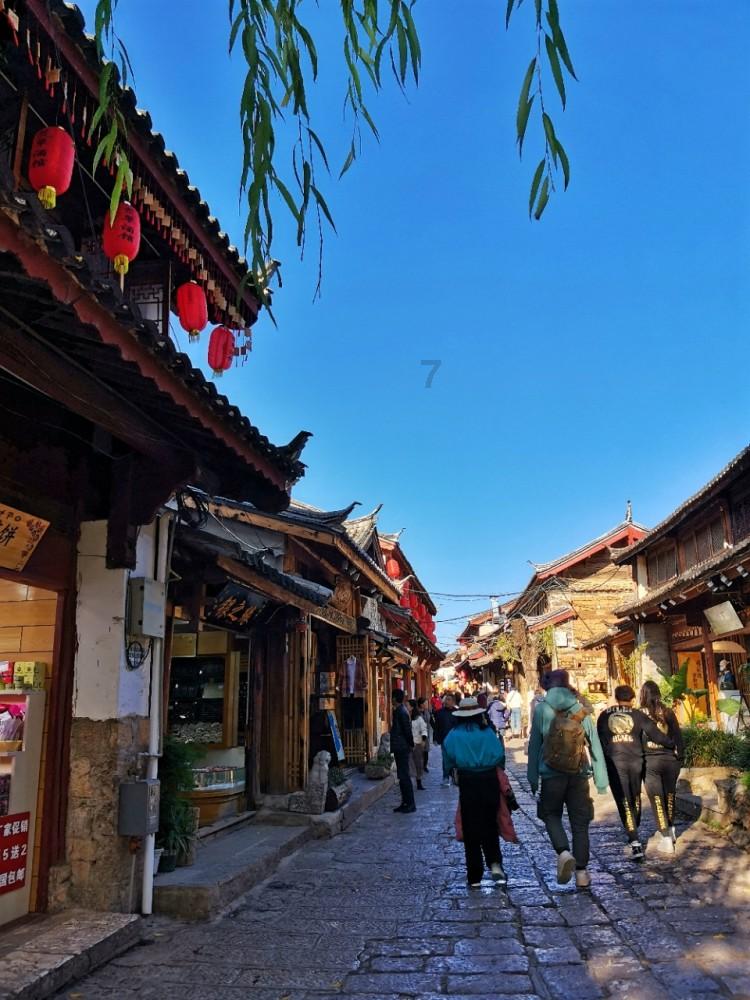 除虫大师